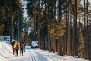 Winterwandern Gruppe