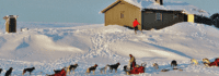 Hundegespann vor Berghütte