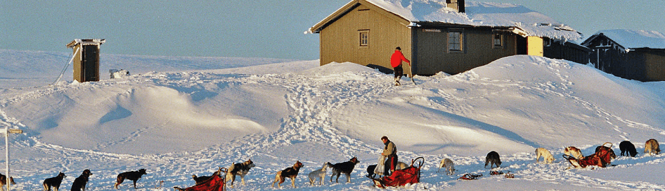 Hundegespann vor Berghütte