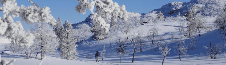 Schneeschuhwanderer in Winter Wonderland