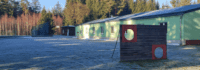 Haus im Wald mit Torwand davor