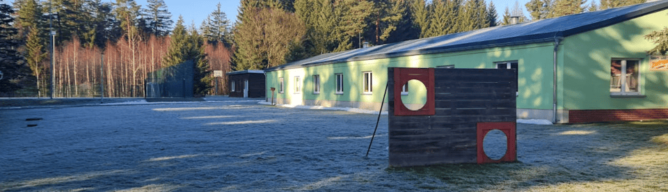 Haus im Wald mit Torwand davor