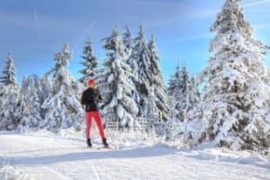 Langläufer im Wald im Skiurlaub Tirol