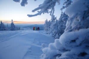 wunderschöne Winterlandschaft bei Skifreizeiten