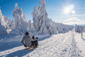 Rodelnde Familie im Winterwunderland