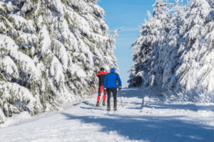 Langlauf im beschneiten Wald