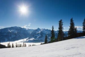 Schneebedeckte Wälder