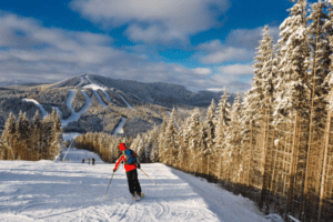 Skifahrer fährt Waldabfahrt herunter