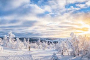 Skifahrer im verschneiten Wald im Wintersport Skandinavien