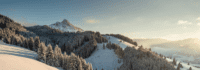Winterlanschaft