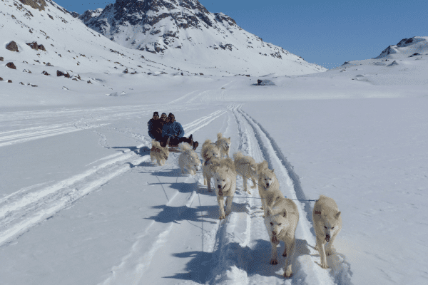Finnland Huskygespann