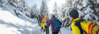 Gruppe wandert in verschneitem Wald