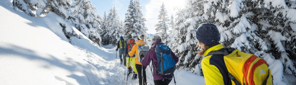 Gruppe wandert in verschneitem Wald