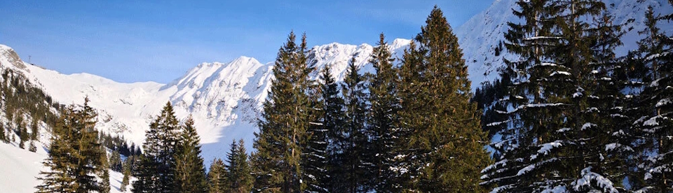 Herrliches Bergpanorama im Familien Skiurlaub