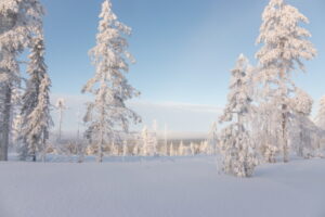 Finnland Feriencamps