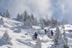 Freeriding